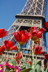 FOTO PARIS
